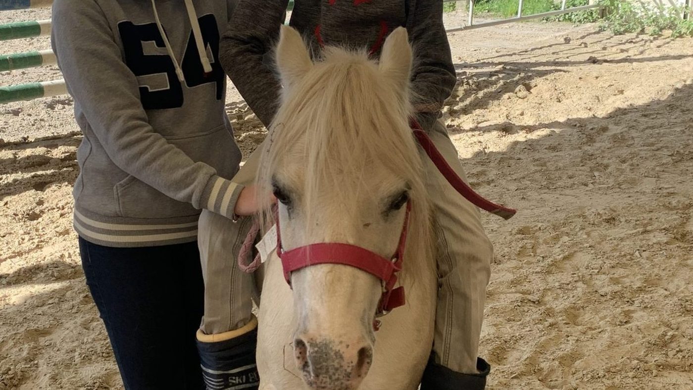 École La Source, Soignies — séance d'hippothérapie au manège de la berlière, à soignies